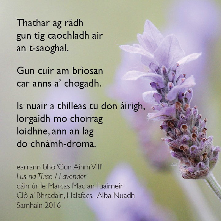 gun-ainm-viii-poem-graphic-01