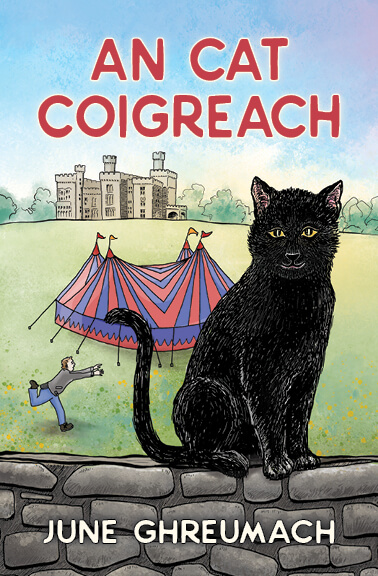 An Cat Coigreach
