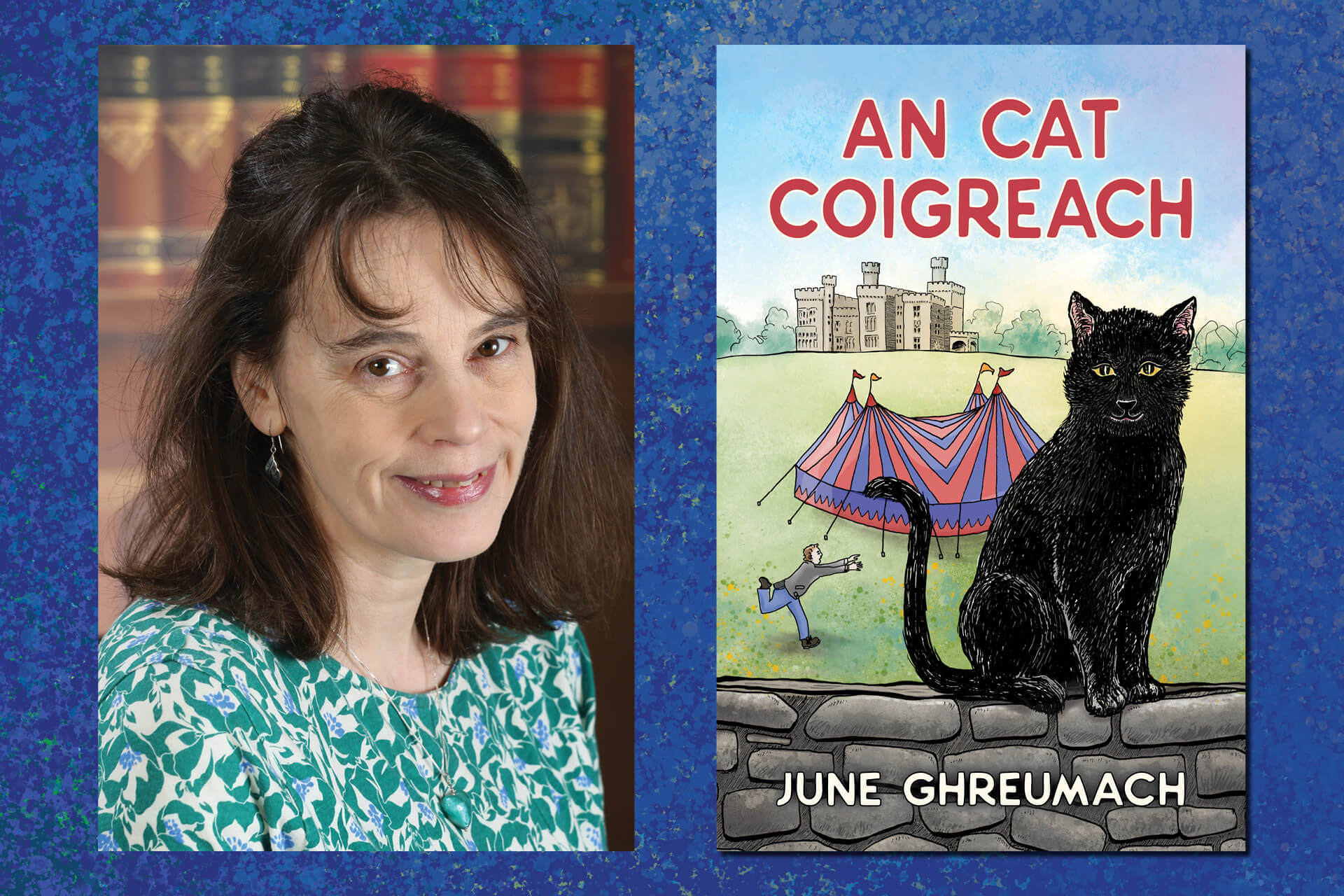 An Cat Coigreach shortlisted in the Gaelic Literature Awards