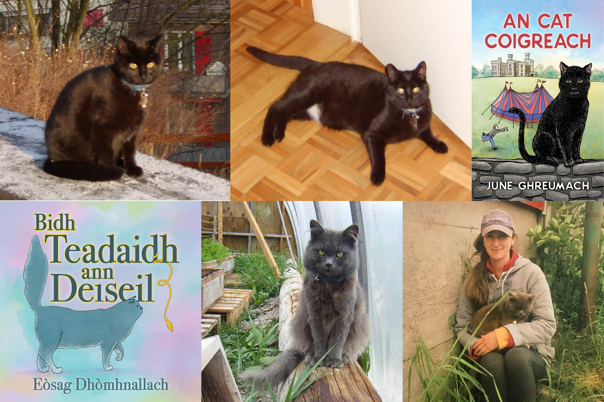 The real-life cats featured in An Cat Coigreach and Bidh Teadaidh ann Deiseil published by Bradan Press